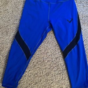 Mesh high waisted capris